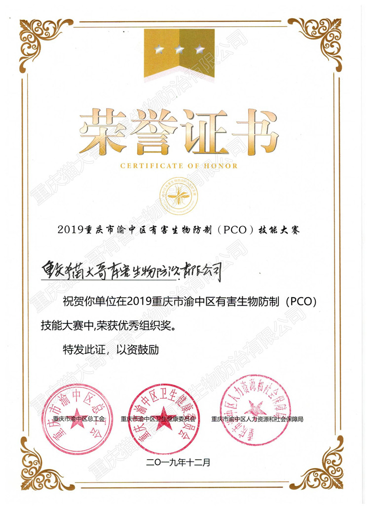 《2019年渝中區(qū)技能大賽》-榮譽證書