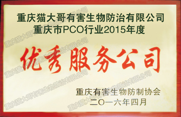 2015年優(yōu)秀服務公司